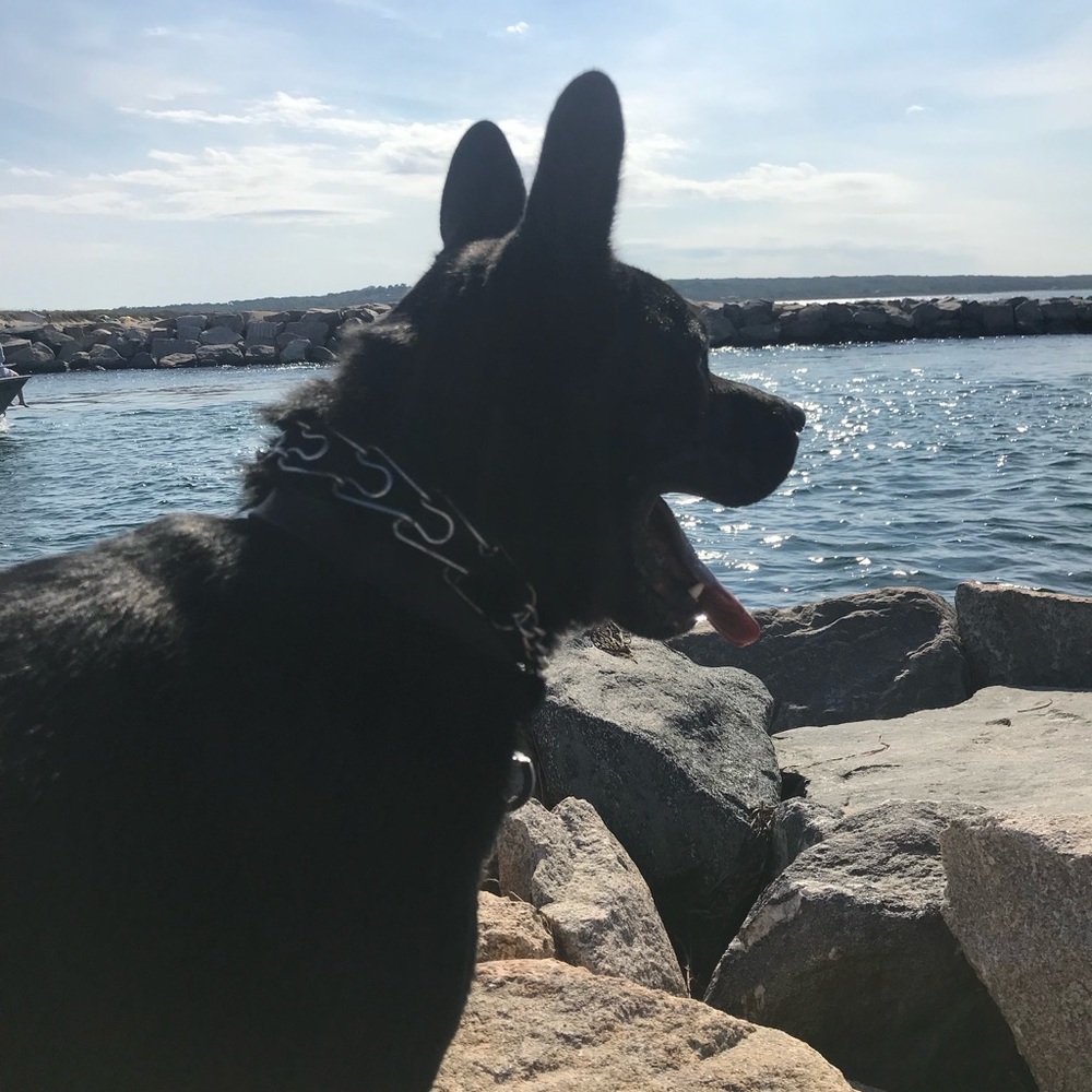 Meet your Posher, Jennifer